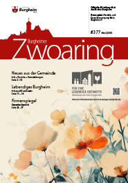 Zwoaring Z377