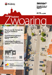Zwoaring Z378