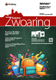 Zwoaring Z380