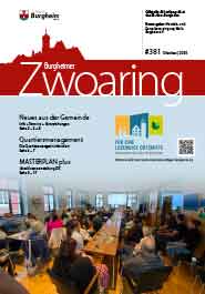 Zwoaring Z381